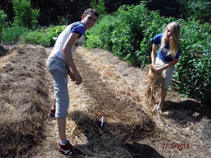 2015 Volunteer Position