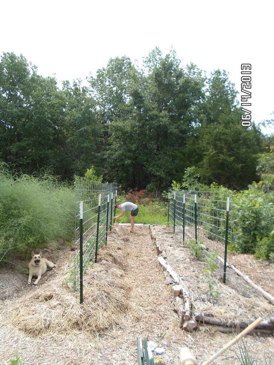 Adventures in Homesteading